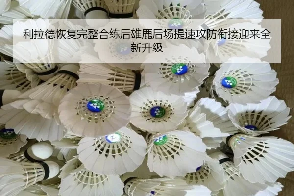 利拉德恢复完整合练后雄鹿后场提速攻防衔接迎来全新升级 - kaiyun